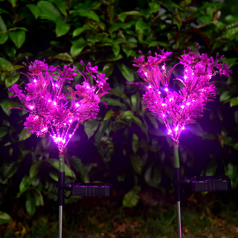 2 Pack Solar Powered  Phalaenopsis Light
