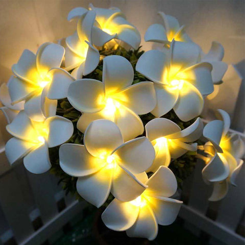 Plumeria Flower Fairy Light